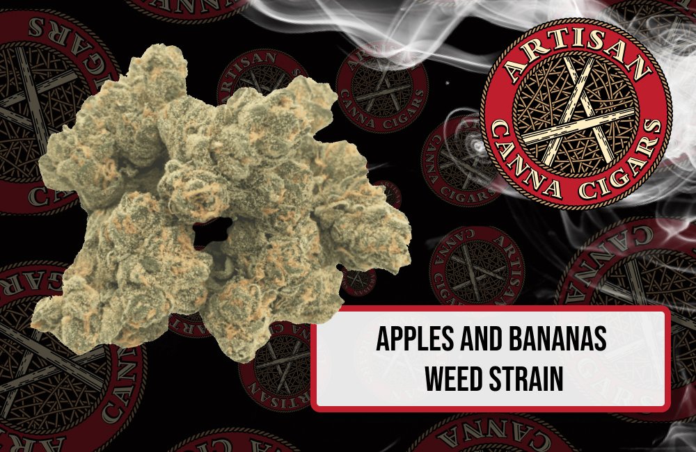 Apples and Bananas weed strain