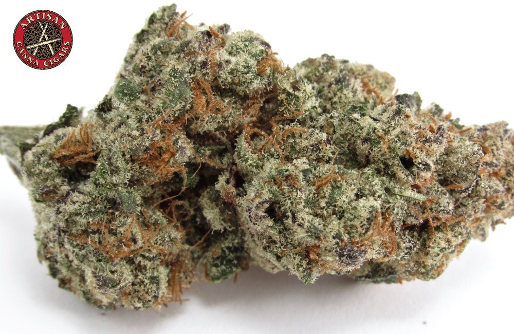 Jet Fuel weed strain 33 Artisan Purple Cannabis Bud
