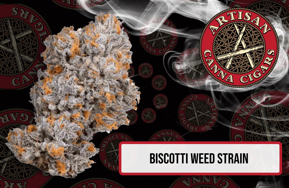 Biscotti weed strain