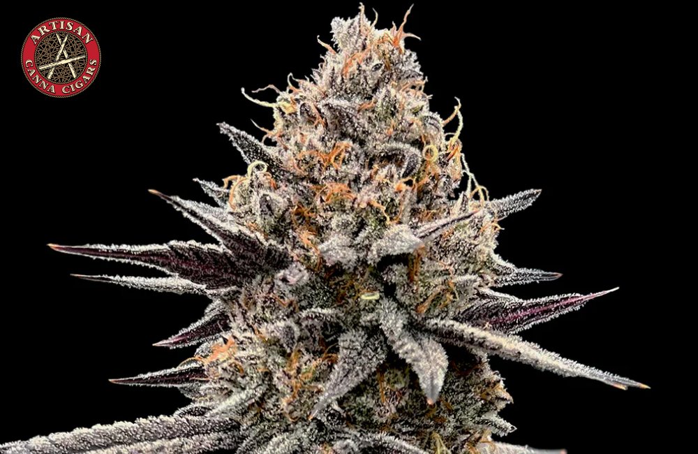 Bubble Gum weed strain 5 Bubble Gum weed strain
