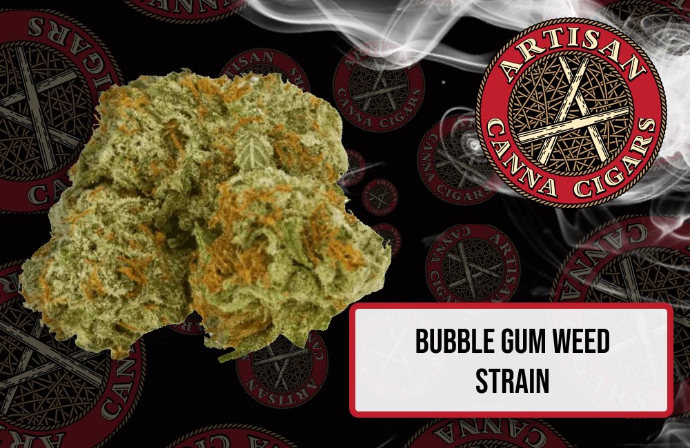 Bubble Gum weed strain