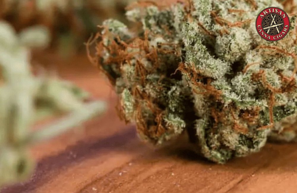 White Truffle weed strain 33 Close-up of White Truffle Bud Texture