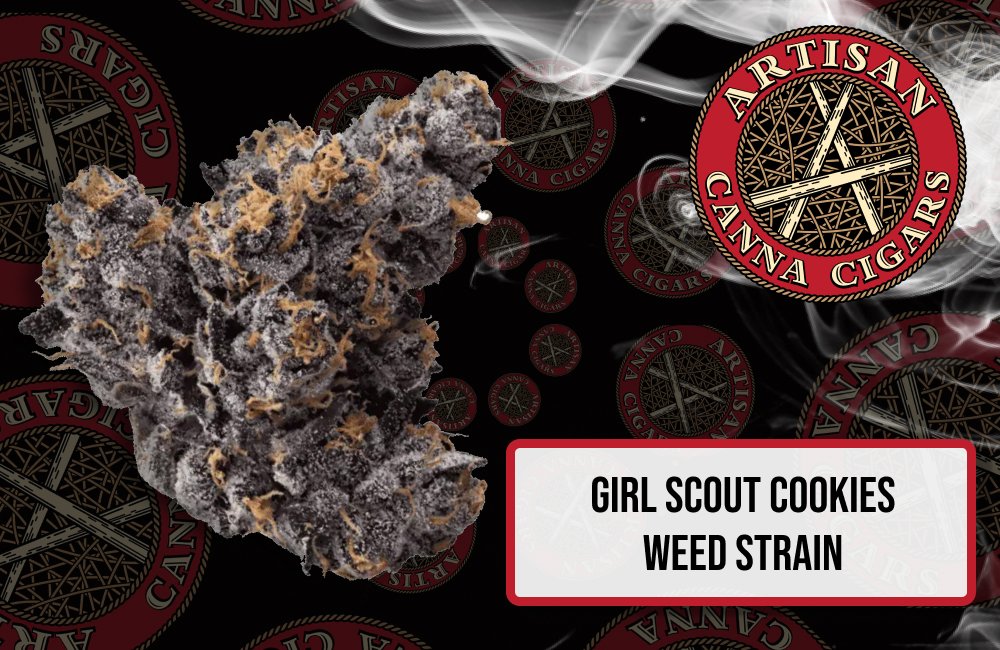 Girl Scout Cookies weed strain