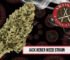 Jack Herer weed strain