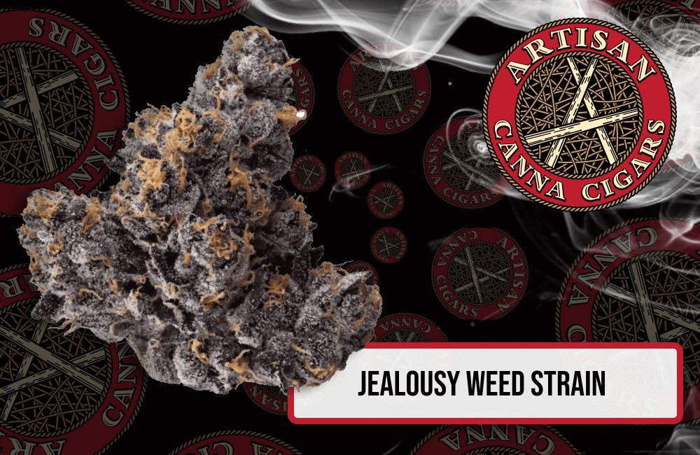 Jealousy Weed Strain