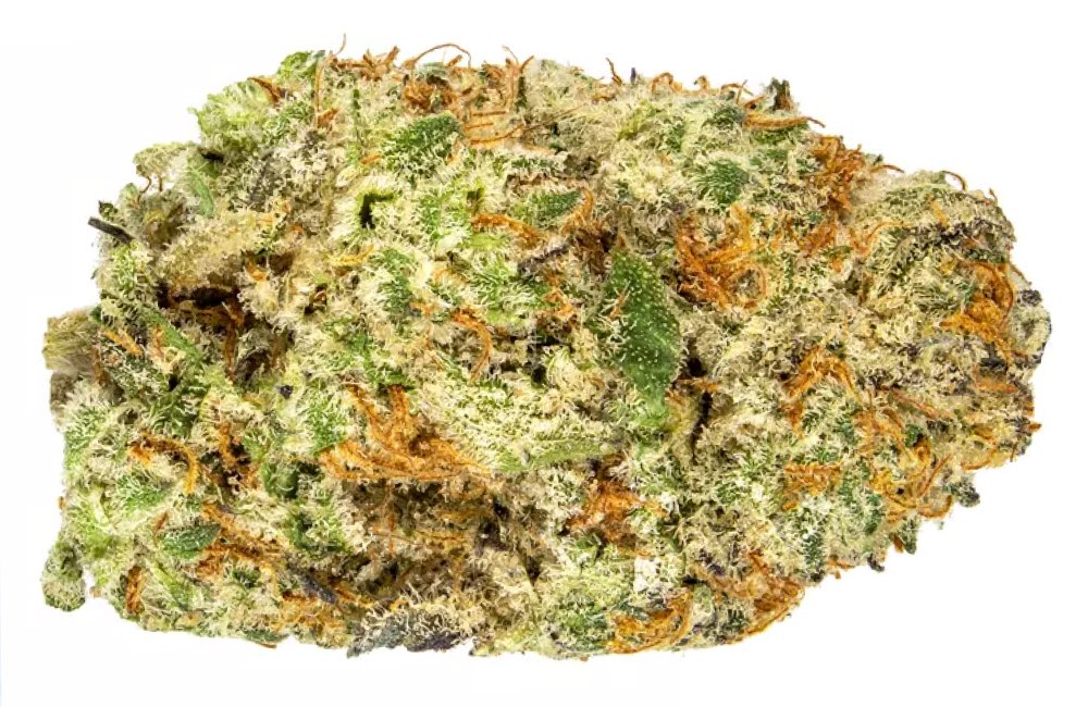 Oreoz weed strain in los angeles