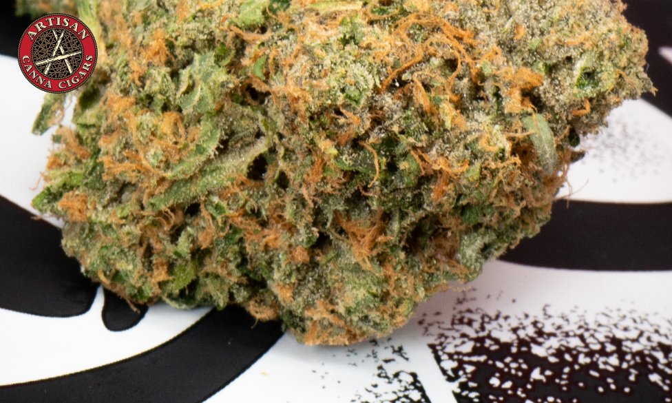 The Original Z weed strain 4 Original Z weed strain