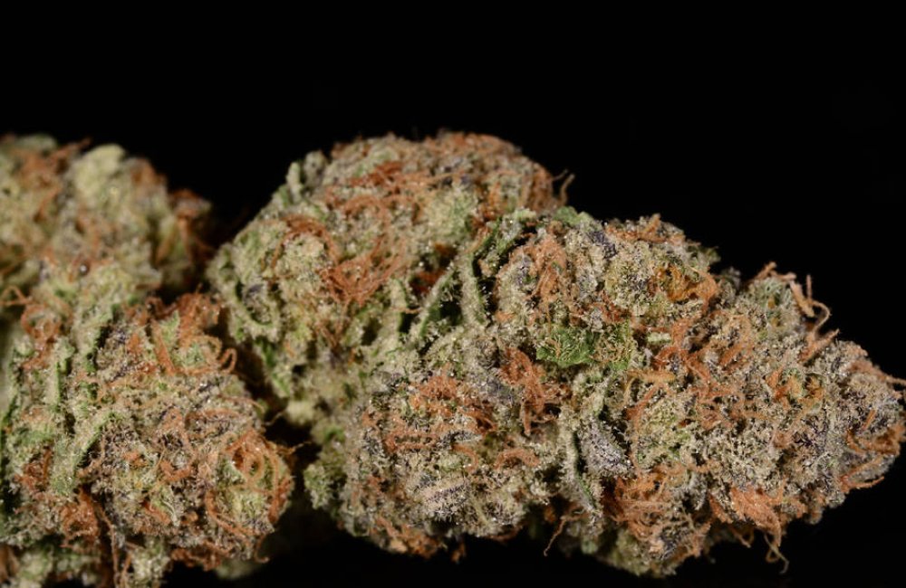 Pineapple Express weed strain in los angeles