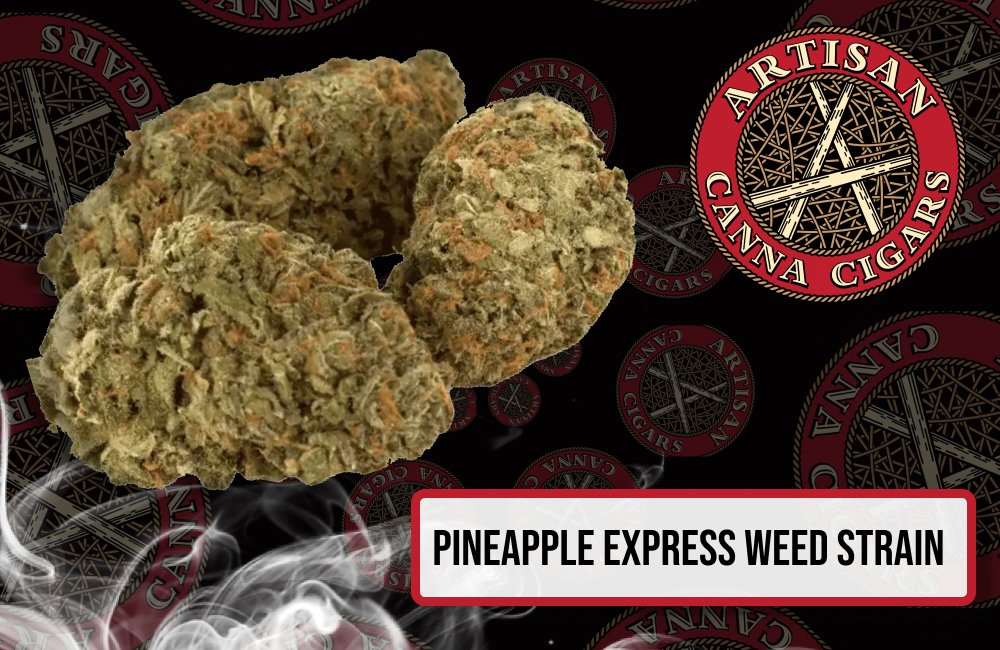 Pineapple Express weed strain
