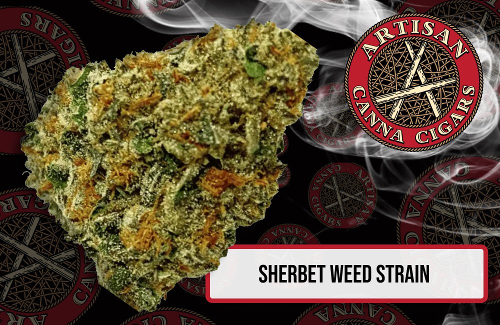 Sherbet weed strain