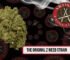 The Original Z weed strain