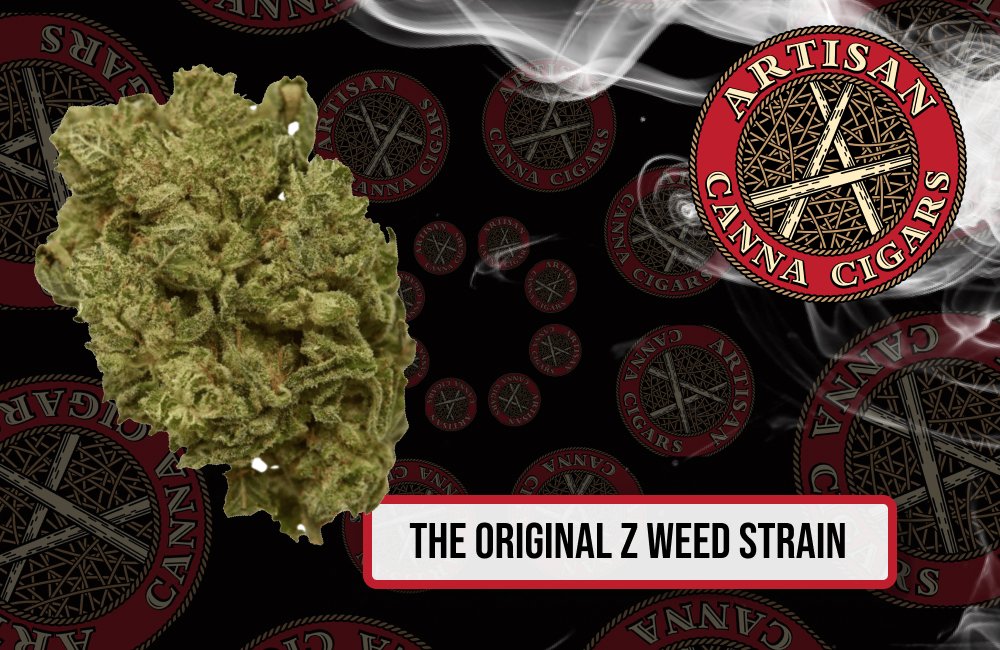 The Original Z weed strain