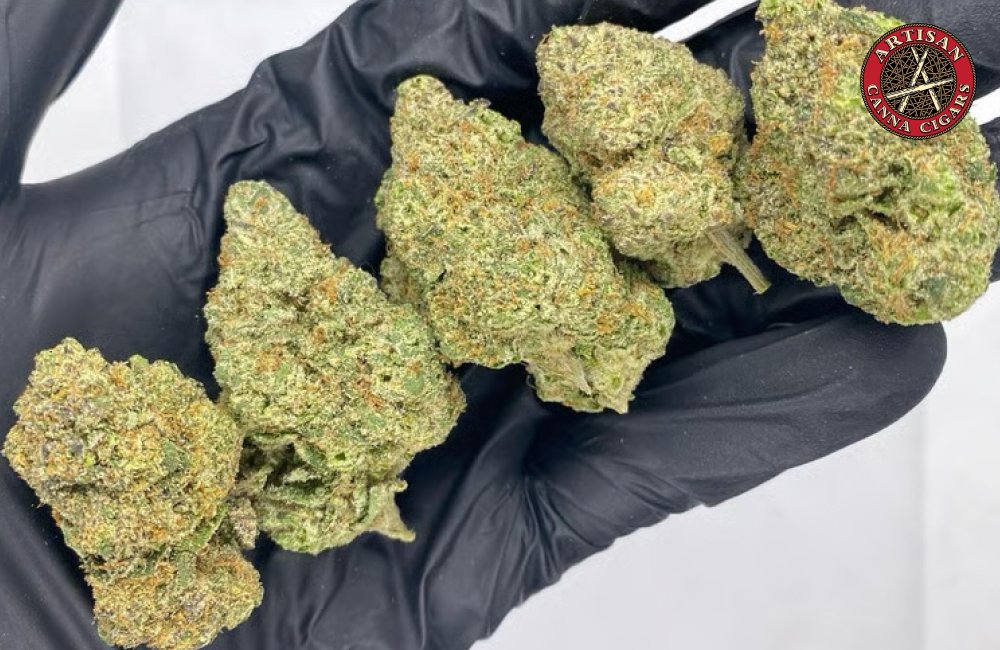 The Original Z weed strain 3 The Original Z weed