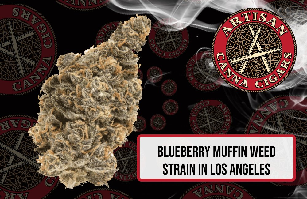 Blueberry Muffin weed strain in Los Angeles