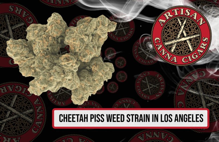 Cheetah Piss weed strain in Los Angeles