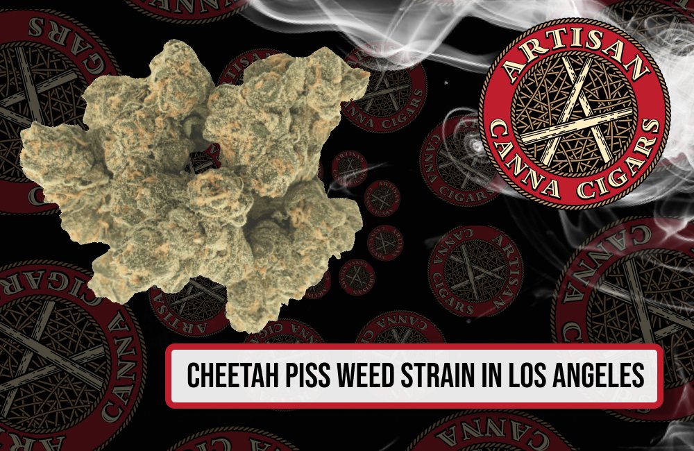 Cheetah Piss weed strain in Los Angeles