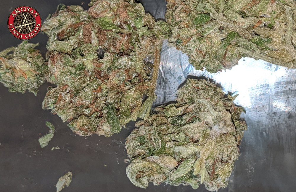 Cheetah Piss weed strain in Los Angeles 17 Cured Cannabis Flowers