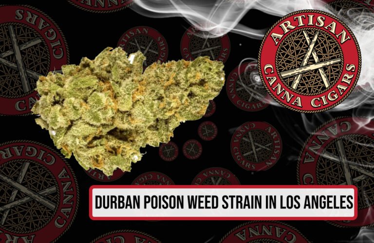 Durban Poison weed strain in Los Angeles