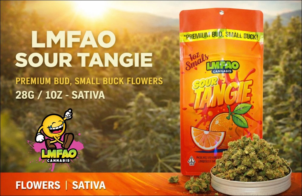 LMFAO Sour Tangie Premium Bud — Small Buck Flowers 28G / 1OZ | Sativa 31 LMFAO Sour Tangie Premium Bud, Small Buck