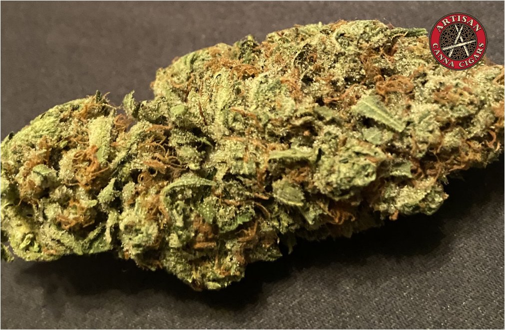 Macro Durban Poison Flower