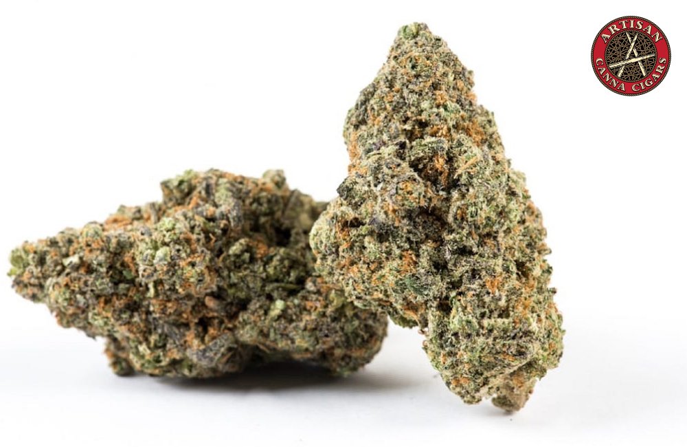 Two Cured Cannabis Buds