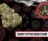 Main promotional graphic for Cherry Poppers weed strain by Artisan Canna Cigars