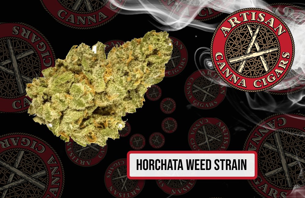 Horchata cannabis strain bud on a black decorative background