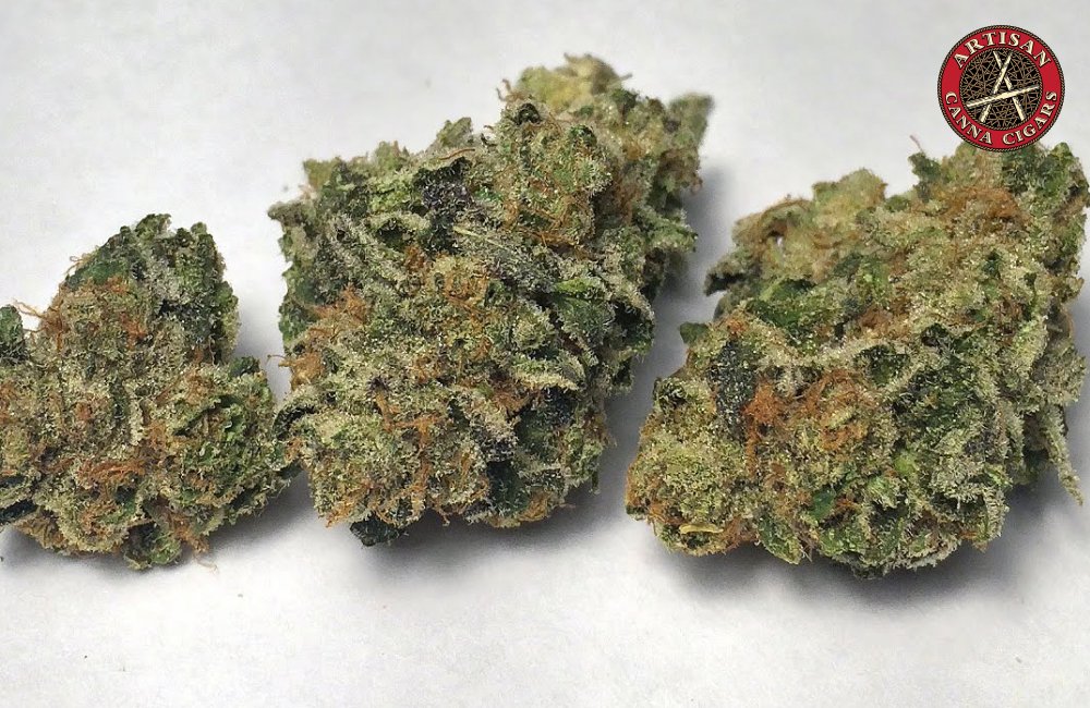 Three premium cannabis flower buds on a white surface