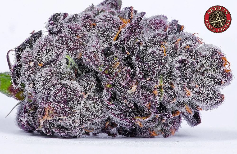 High-definition macro shot of a purple Cherry Poppers bud with heavy resin coating